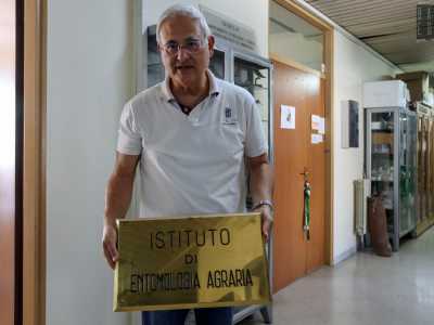 Ad accoglierci � il curatore della raccolta, il professor Enrico de Lillo...
